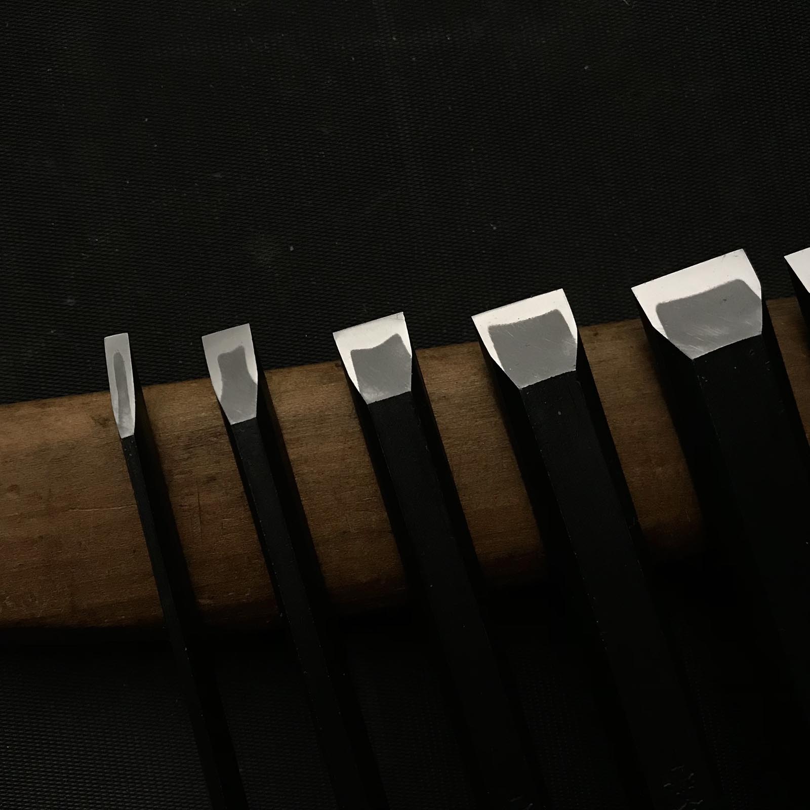 Tasai Shorter Medium Timber chisels set (Chutatakinomi) 田斎 田齋明夫氏 中叩き組鑿 10本組