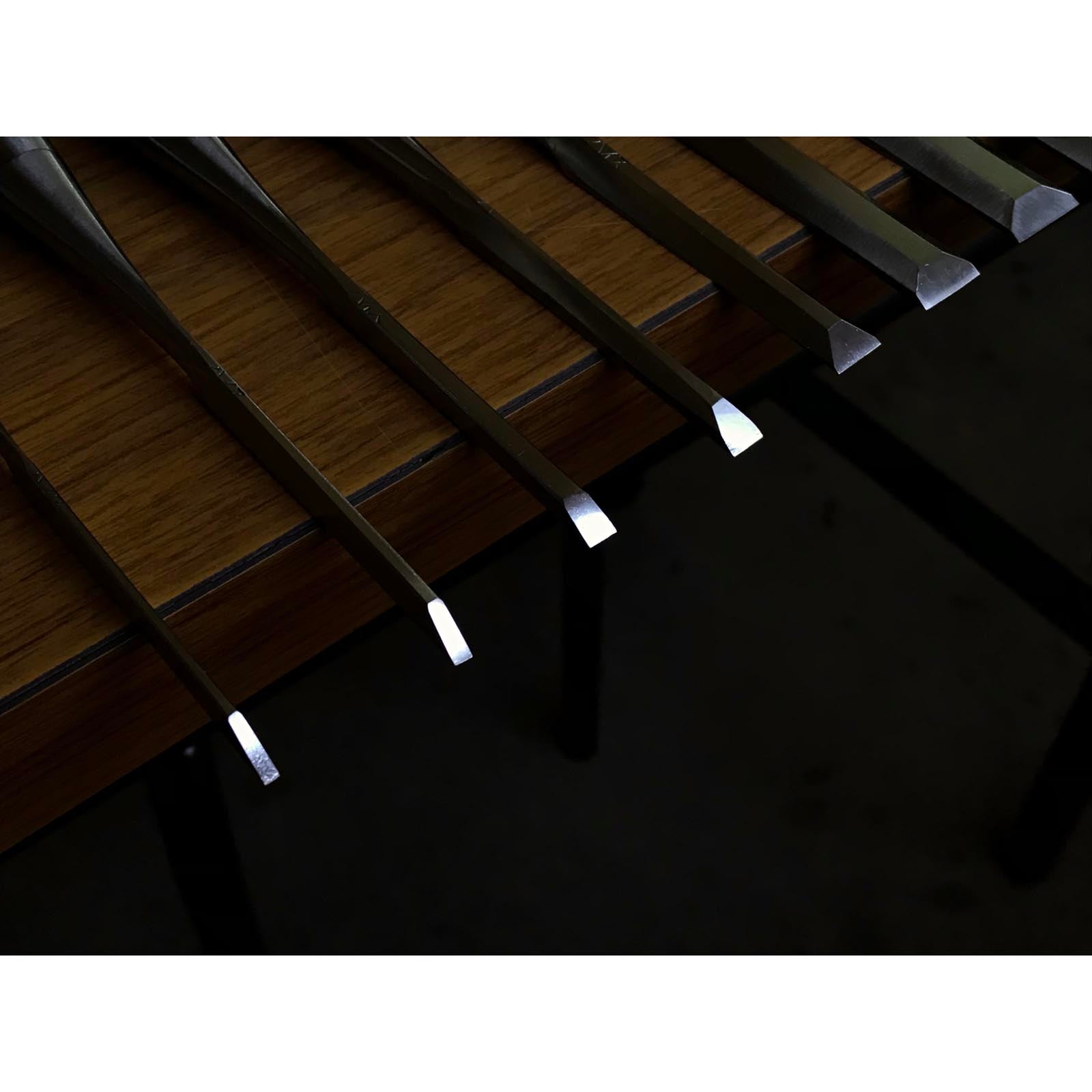 四代助丸 碓氷淑郎 ハイス鋼追入鑿 15本組  Sukemaru 4th High-Speed Steel Bench chisels set