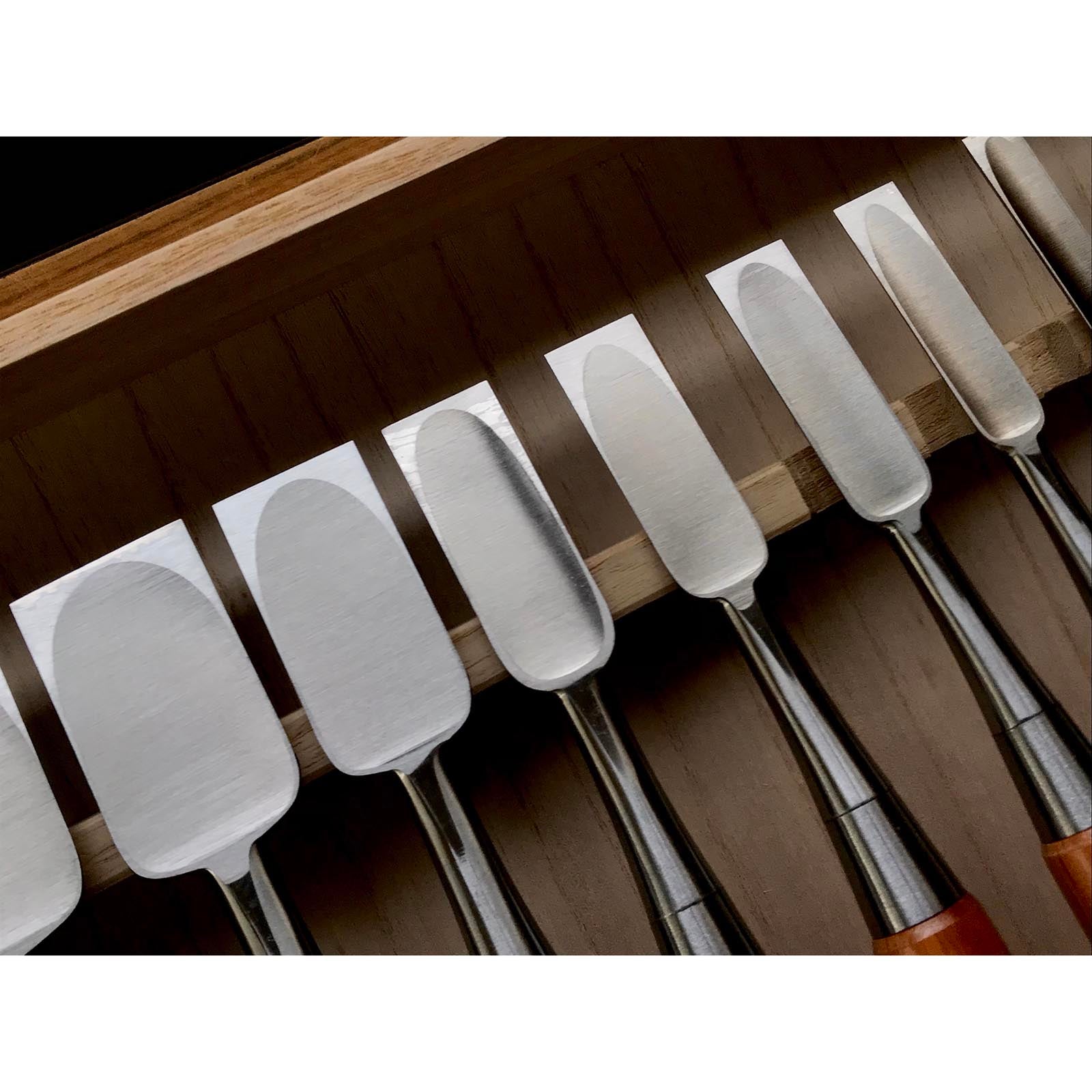 四代助丸 碓氷淑郎 ハイス鋼追入鑿 15本組  Sukemaru 4th High-Speed Steel Bench chisels set