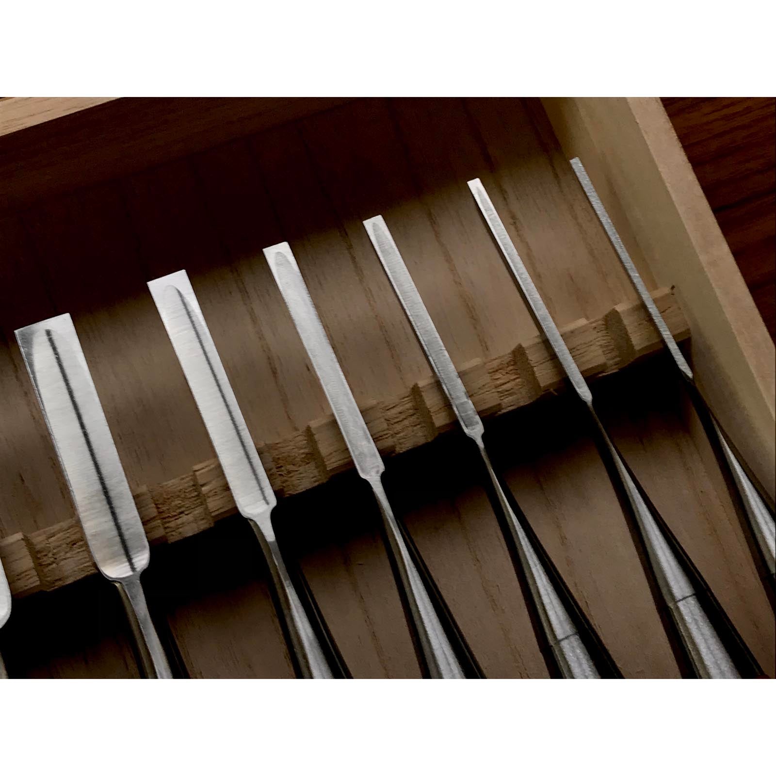 四代助丸 碓氷淑郎 ハイス鋼追入鑿 15本組  Sukemaru 4th High-Speed Steel Bench chisels set