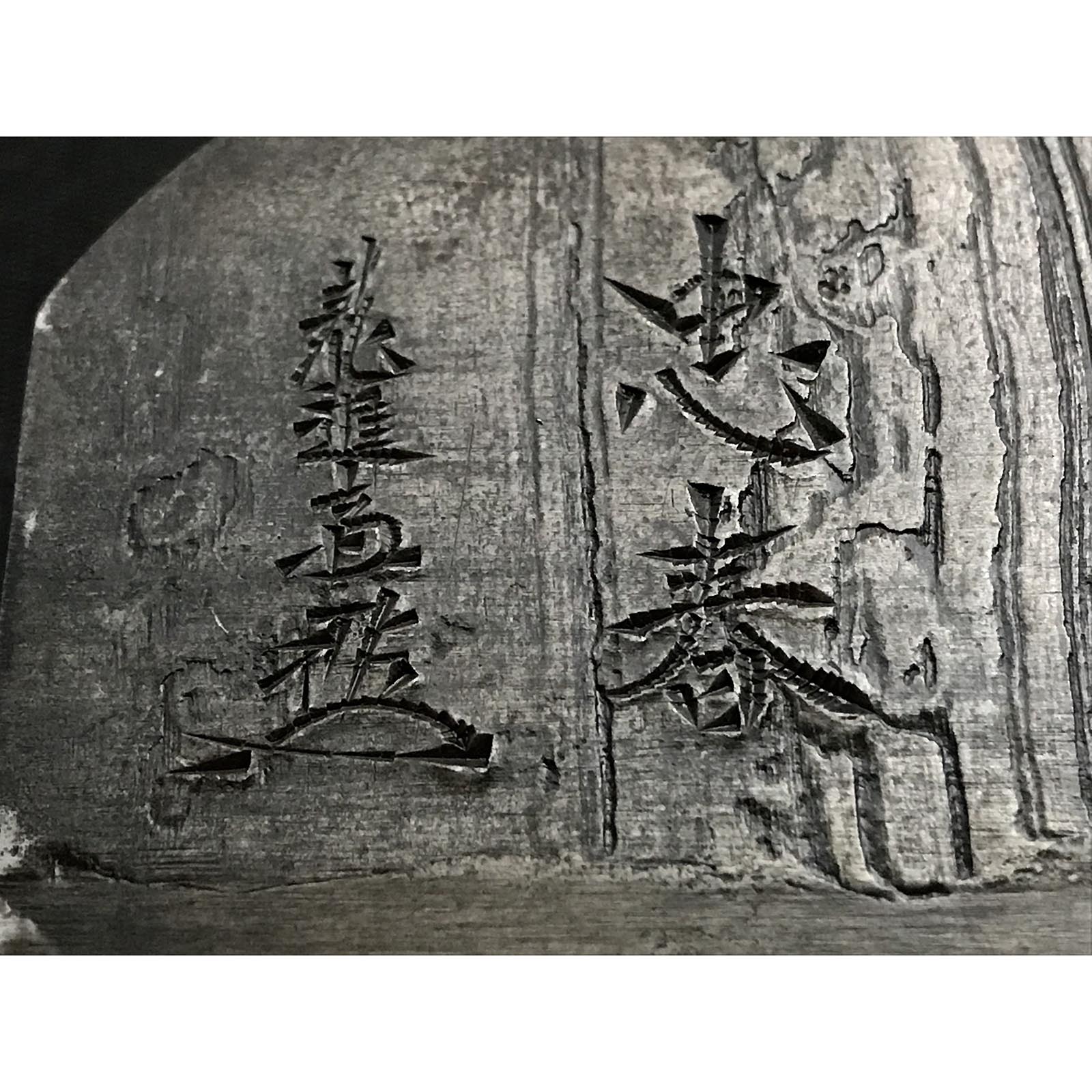 Old stock Tadaharu Smoothing Plane (Kanna) by Tsutsumitomoichi 掘出し物 堤朋一作 忠春 仕上げ鉋 70mm