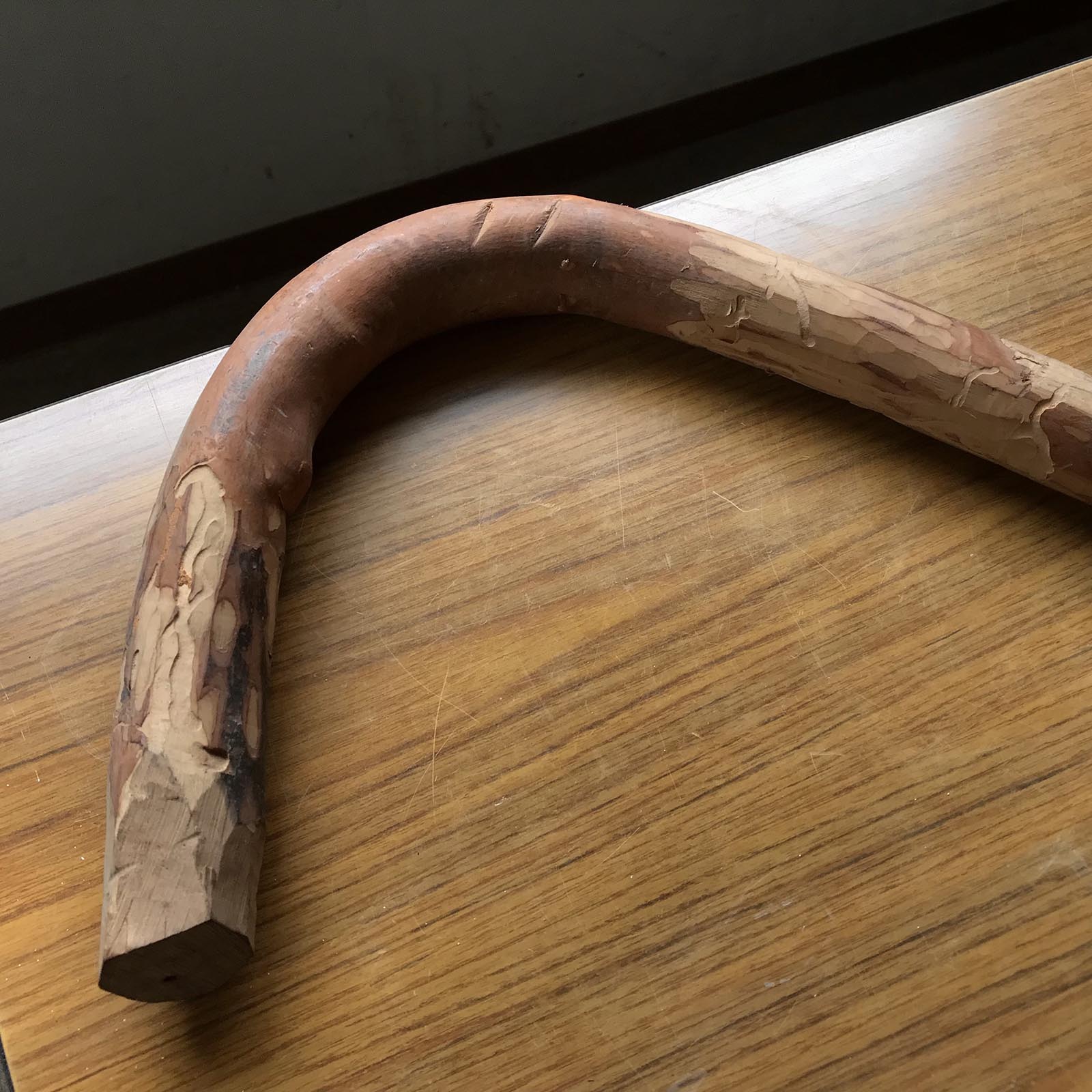 Handles #3 of Japanese Carpenter's Adze 「Styphnolobium japonicum